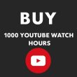 Buy 1000 YOUTUBE WATCH HOURS